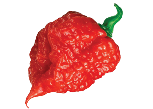 Burning Spicy